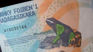 100 ариари с лягушкой