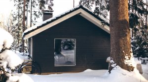 Загляни в этот дом за 1,5 млн! Уютная евродвушка с печью в лесу