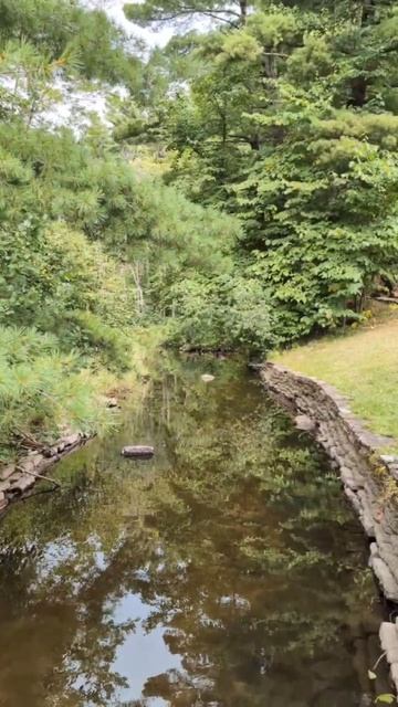 Природа у каменного канала