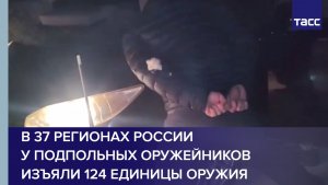 В 37 регионах России у подпольных оружейников изъяли 124 единицы оружия