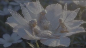 HDR When Fairies Bloom  Spring Fairy Village Life  AI Fantasy Art 4K