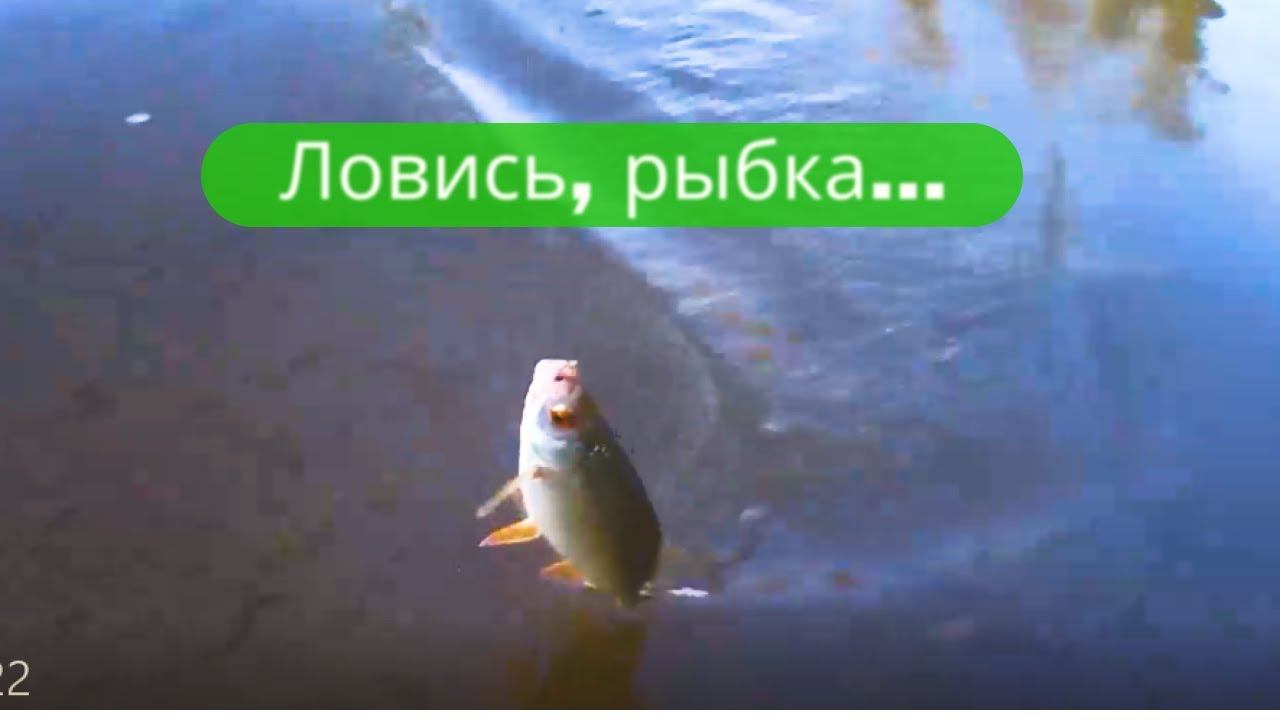 ✔И снова – летняя рыбалка  ✔