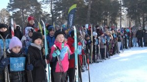 "Будни" (новости, 16.02.26г., Бийское телевидение)