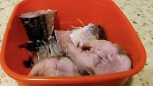 Любашины будни,солю скумбрию с чесноком 👍‼️