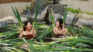 pomidom.ru Зеленый Японский Лук Фукая . Толстый белый длинный нежный стебель!