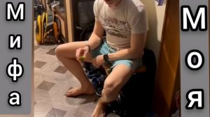 Забавные котики