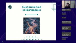 Нейропедагогика в фольклоре как русские народные сказки