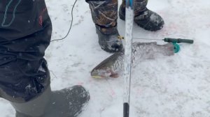 Китай ловит )).СЗ