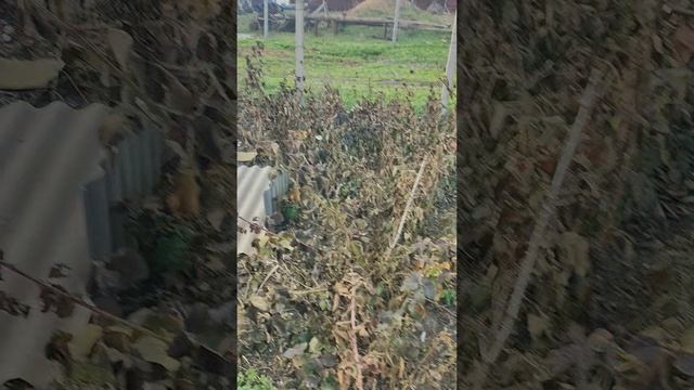 1000993206.mp4 смотреть онлайн