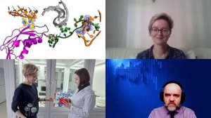 1682. Полесскова Е.В.: Конструирование новых антибиотиков. Пролин-богатые пептиды