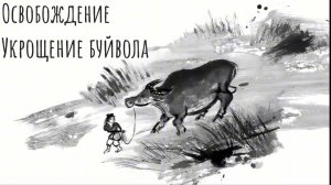 Освобождение. Укрощение буйвола /\ САМАДХИ /\ ATW 2026