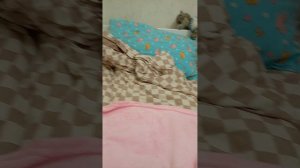 знакомство