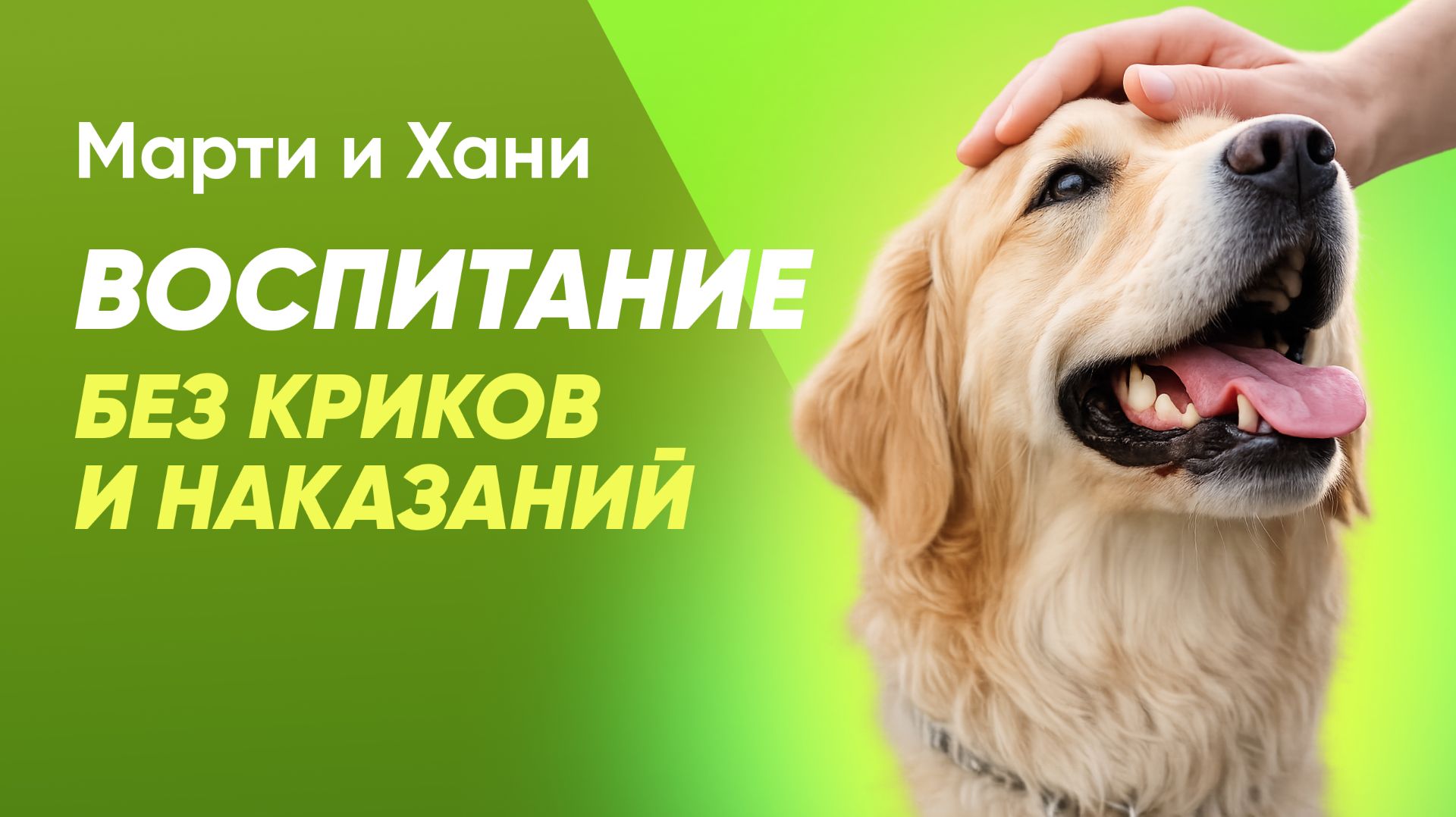 ВОСПИТАНИЕ СОБАКИ БЕЗ КРИКОВ И НАКАЗАНИЙ/ ЧТО РАБОТАЕТ И ПОЧЕМУ АГРЕССИЯ ТОЛЬКО УХУДШАЕТ ПРОЦЕСС смотреть онлайн