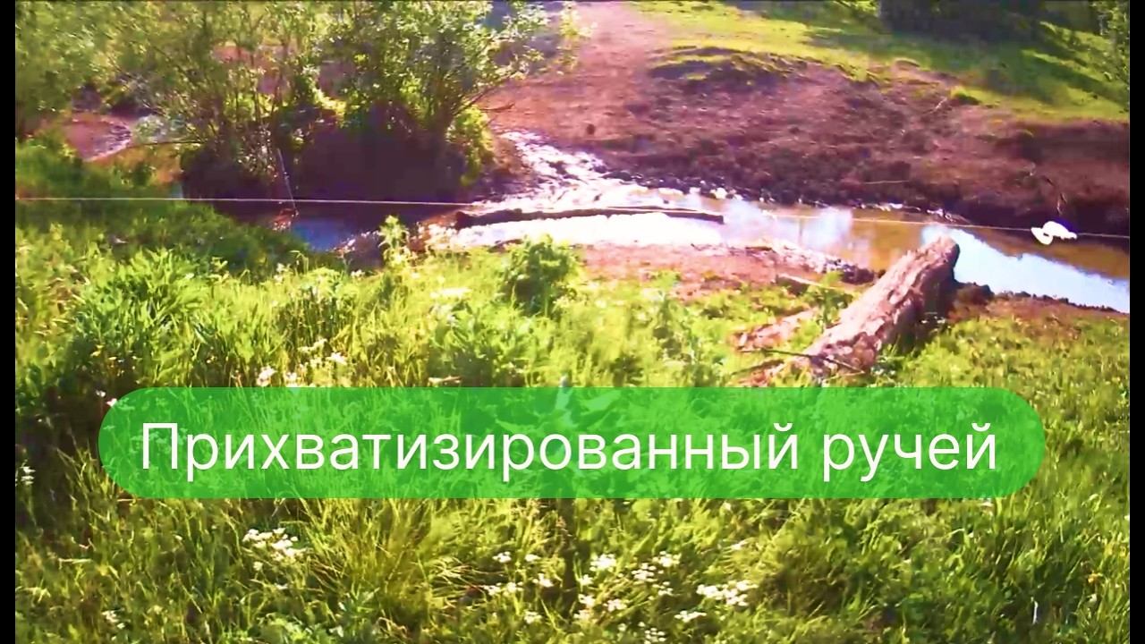 ✔ Прихватизированный ручей. Проверка ловушек для пчелиных роёв ✔