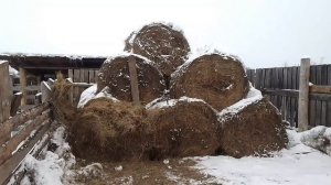 Подогрев двигателя Трактор🚜 Т-16. Иркутская область Усть- Удинский район село Молька. 16 февраля