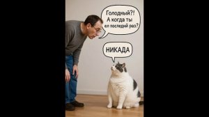 Новая подборка мемов #4