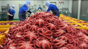 рагу из осьминогов. корейское массовое производство