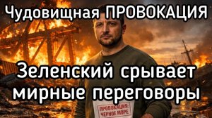 Зеленский торпедировал мирные переговоры по Украине. Провокация накануне раунда в Женеве