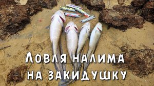 РЫБАЛКА. ЛОВЛЯ НАЛИМА НА ЗИКИДУШКУ