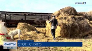 Съемки исторического фильма «Времена не выбирают» завершились в Тамани