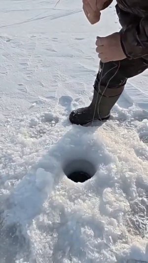 Видео от За Трофеем: Охота и Рыбалка