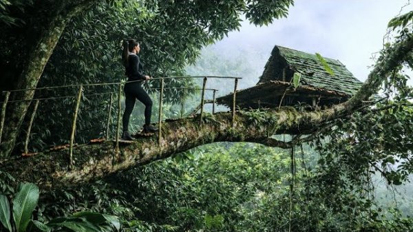 Строю укрытие на поваленном стволе дерева. Выживание в одиночку. Бушкрафт