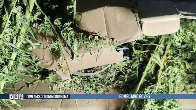 На контроле милиции - противодействие незаконному обороту наркотиков смотреть онлайн