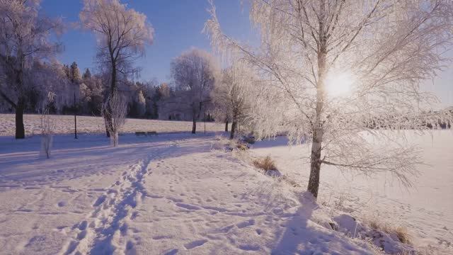 Это Финляндия во всей красе: Живописная утренняя прогулка по снегу ❄️