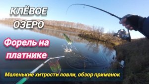 Как обловить конкурентов на запуске. Ловим форель на спиннинг. Рыбалка с LV Fishing.