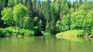 Свидетельство_Константина_о_помощи_отрока_Вячеслава_2_часть