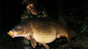 Ловля карпа в Европе. 2014г. часть 2