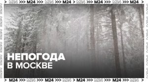 Водителям в Москве порекомендовали снизить скорость из-за непогоды- Москва 24