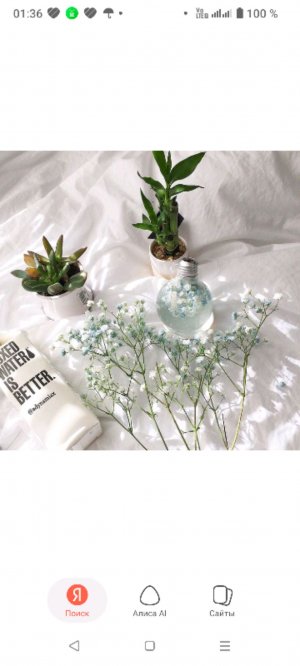 Новости ( посмотрите до КОНЦА)