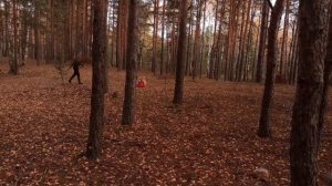 24 часа до смерти ЧАСТЬ 45