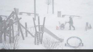 Жителей Подмосковья предупредили о метели и сильном ветре до вечера 16 февраля