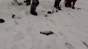 16.02.26 г. РК Волна .