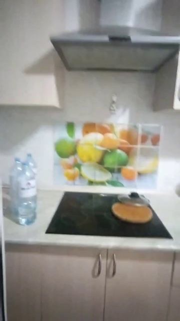 1 комнатная квартира в Сочи