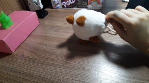 фильм про котиков