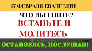 17 февраля Сон от печали. Почему в самые страшные моменты жизни нам хочется просто уснуть?(5 минут)