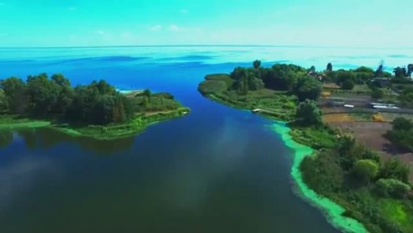 OLED Test Demo Ultimate Dolby Vision Experience