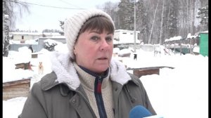 10 лет «Лохматый друг» помогает бездомным животным в Заречном