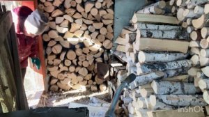 Тружусь как пчелка -зимой некогда лежать