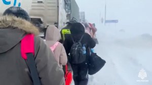 Сотни машин застряли на трассе в Тульской области из-за снежной метели и массовых ДТП