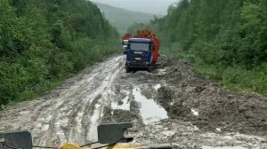 StaFFорд63#Странник