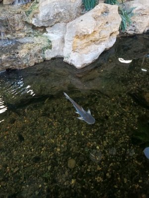 💋🫧 какой ваш любимый блогер?