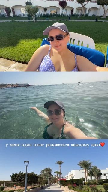 Отдыхаем в Египте❤️#египет #шармэльшейх #egypt #рекомендации #рек #хочуврек #популярное смотреть онлайн