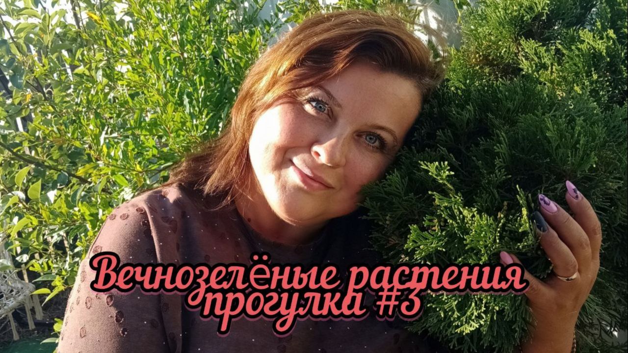 Вечнозелёные жители Южного сада. Осень. Прогулка #3