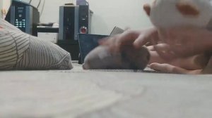 дискотека 2 часть