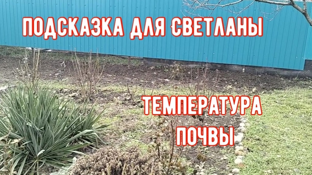 #182🏡Подсказка для Светланы Я./Делаю для себя/Температура почвы/Записалась на УЗИ/Налоговая/Макс смотреть онлайн