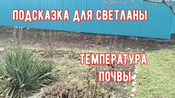 #182🏡Подсказка для Светланы Я./Делаю для себя/Температура почвы/Записалась на УЗИ/Налоговая/Макс